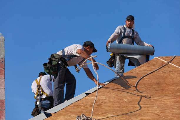Best Roof Repair Services  in Camden, OH